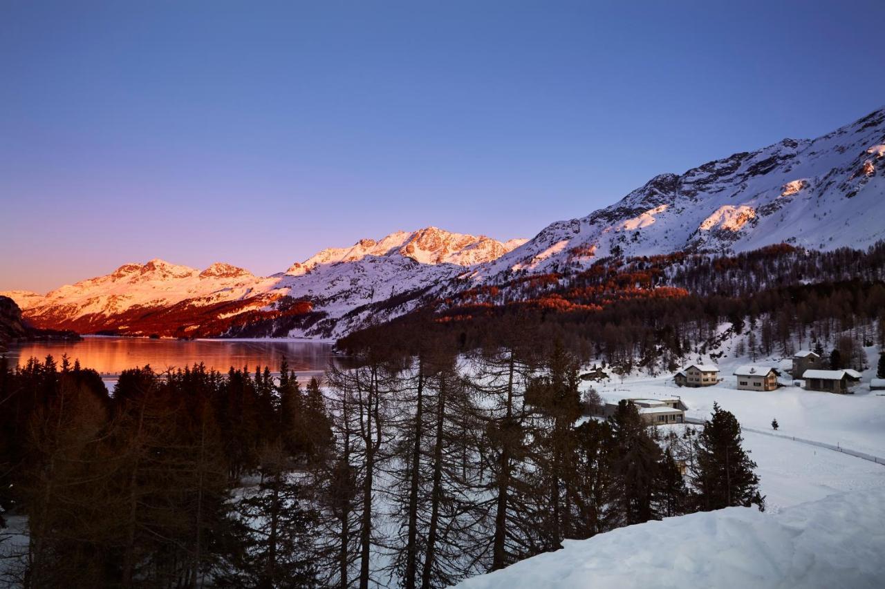 Maloja Palace Residence Engadin-St Moritz Co2-Neutral Eksteriør billede